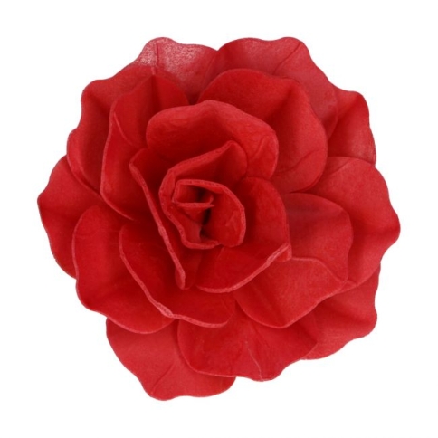 Esspapier Blume - Rose rot