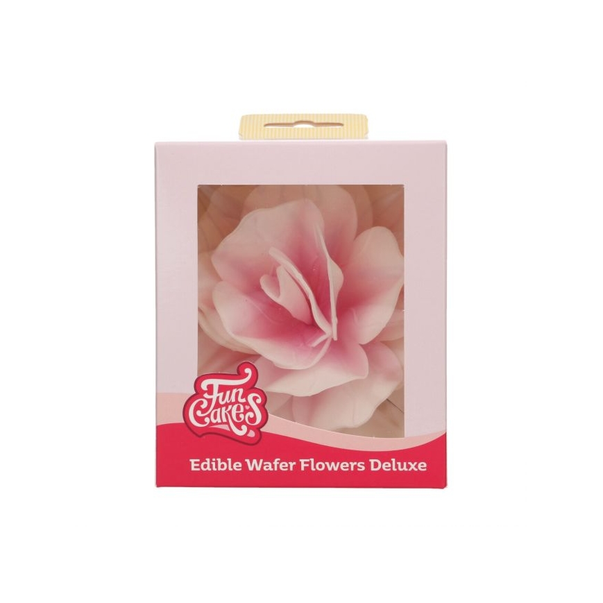 Esspapier Blume - Rose weiss-rosa ombre