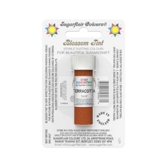 Blossom Tint terracotta